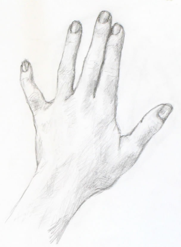 Drawing Tutorial A Simple Drawing Of Your Hand Portrait Artist From Westchester Ny Anne Bobroff Hajal