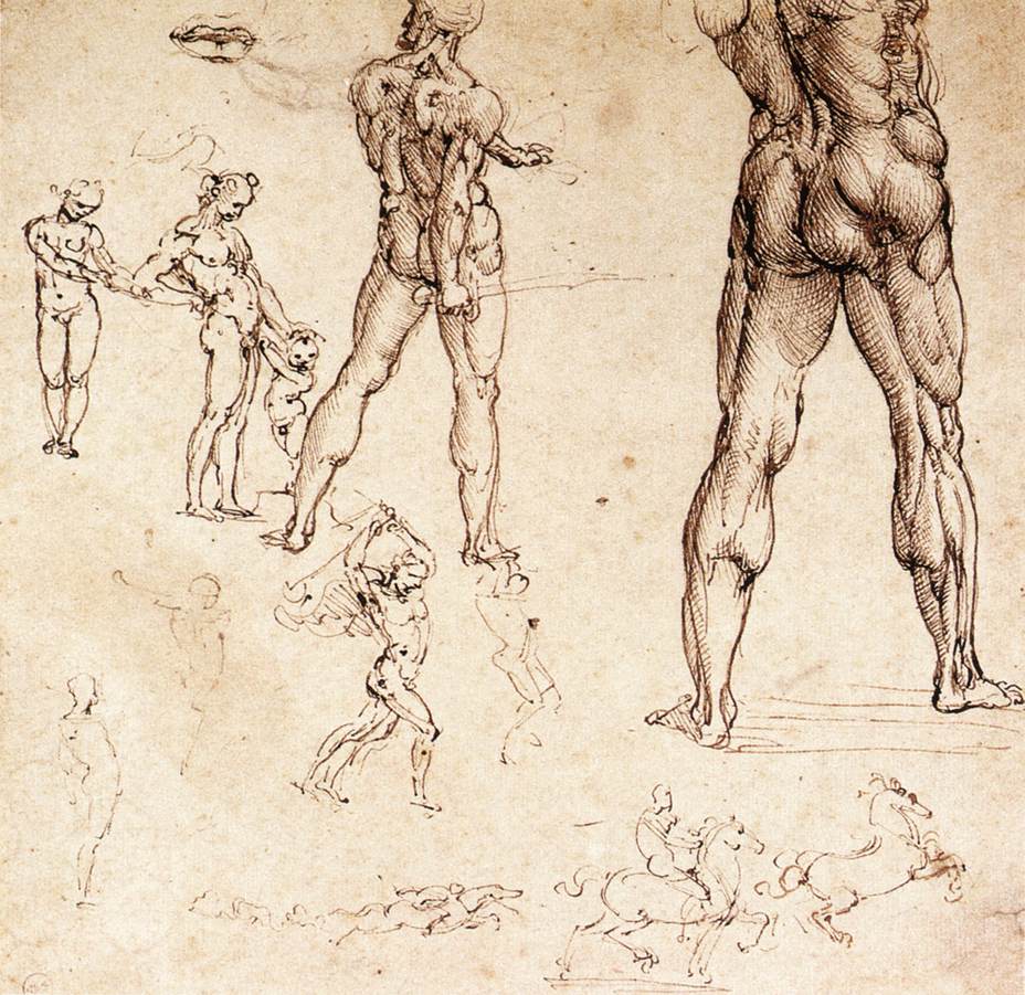 Drawing by Leonardo Da Vinci