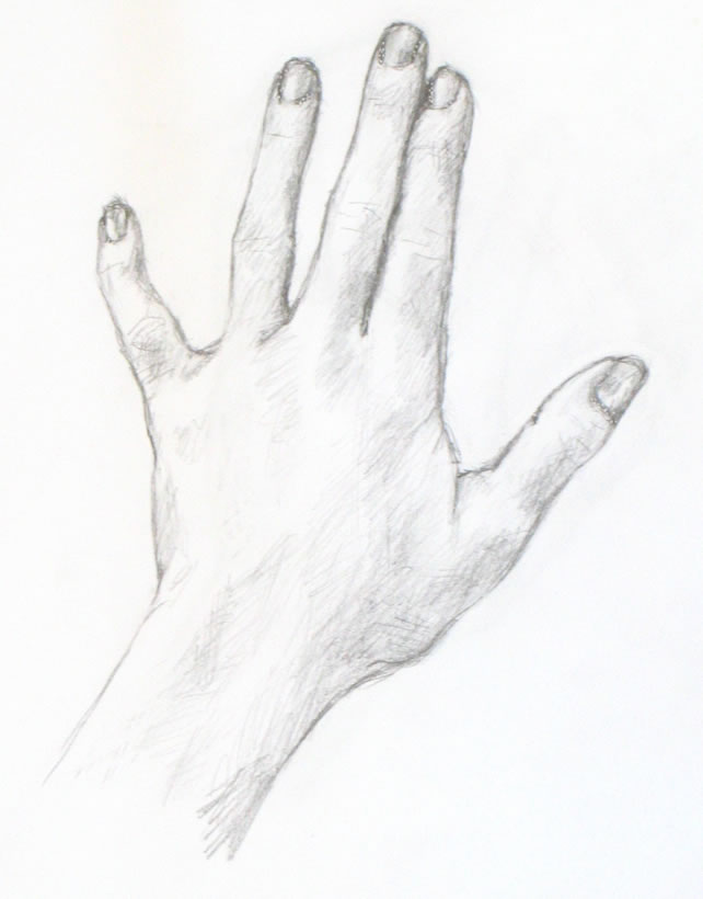 hand pencil sketch