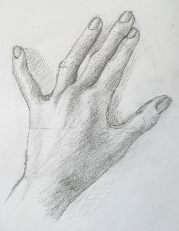 hand pencil sketch