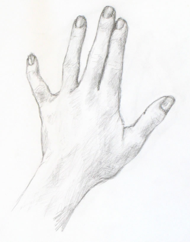 palm hand sketch